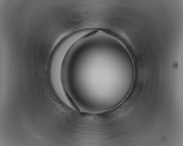 X0000092231218200709281057