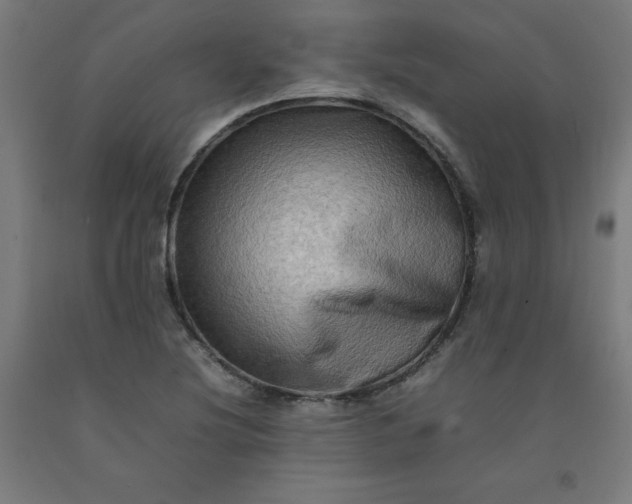 X0000092231220200709281057