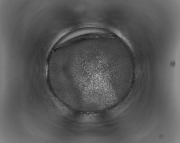 X0000092231221200709281057