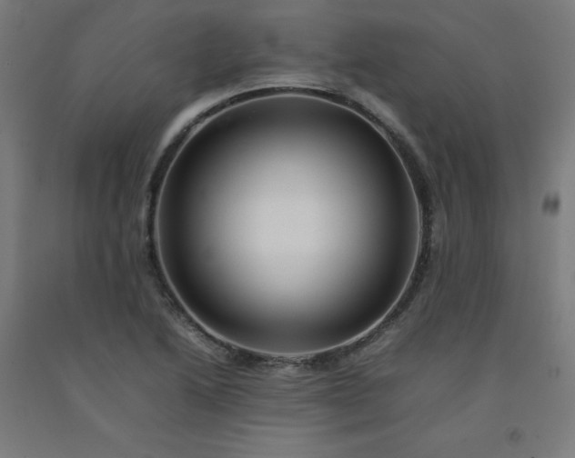 X0000092231222200709281057