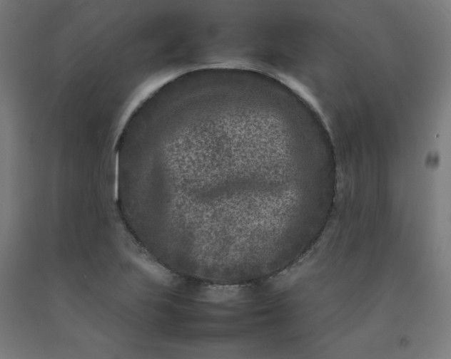 X0000092231223200709281057