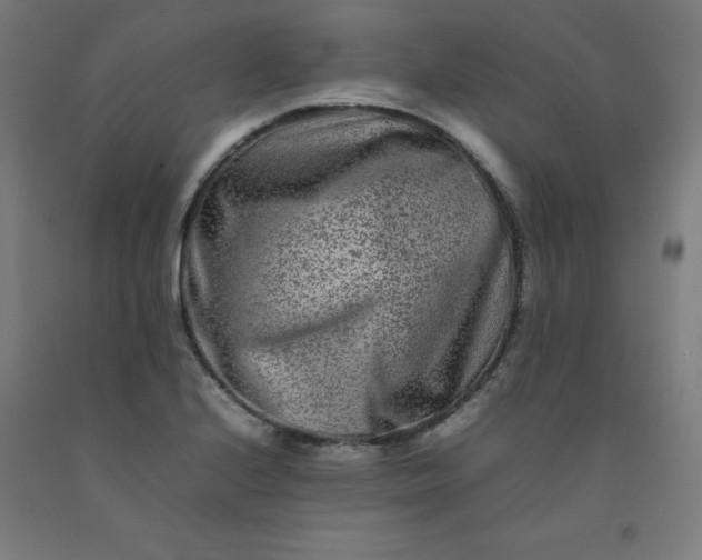X0000092231224200709281057