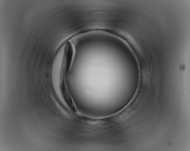 X0000092231225200709281057