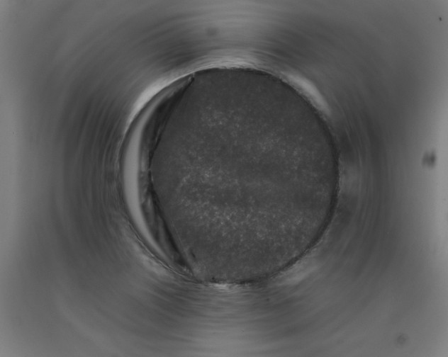 X0000092231226200709281057