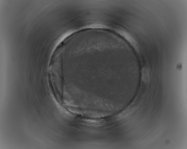 X0000092231229200709281057