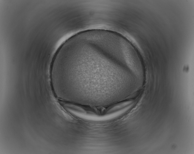 X0000092231230200709281057