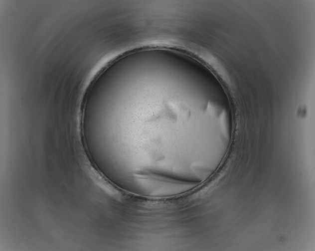 X0000092231232200709281057
