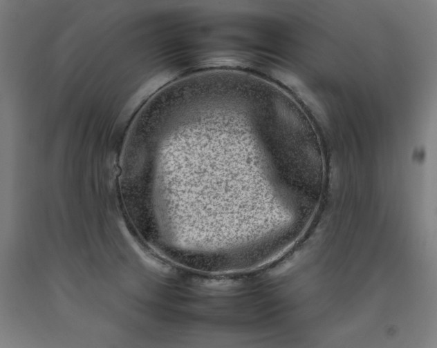 X0000092231233200709281057