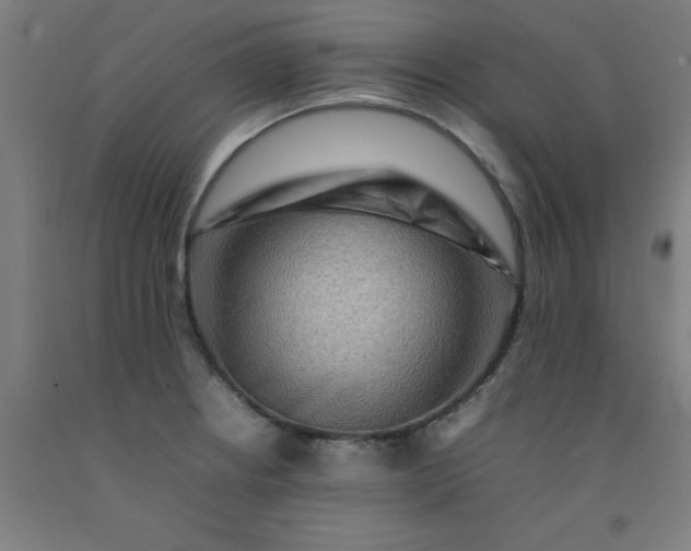 X0000092231234200709281057