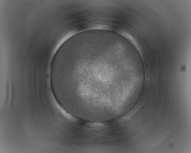 X0000092231235200709281057