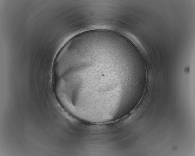 X0000092231236200709281057