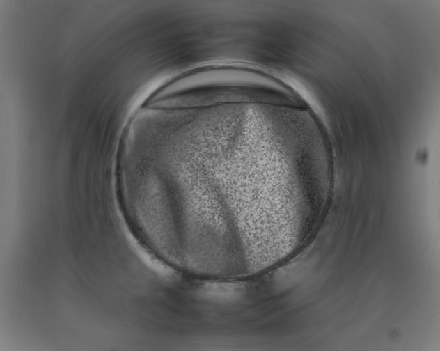 X0000092231237200709281057