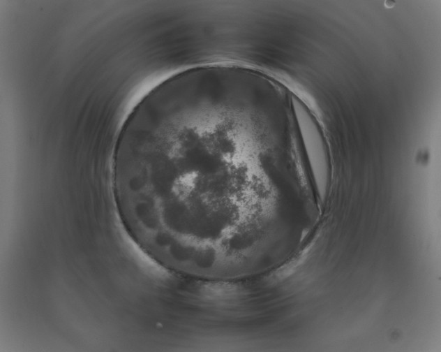 X0000092231239200709281057