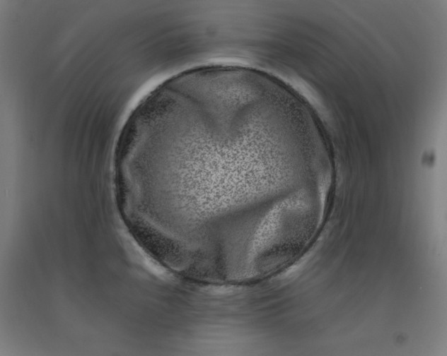 X0000092231240200709281057