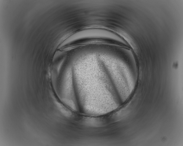 X0000092231241200709281057