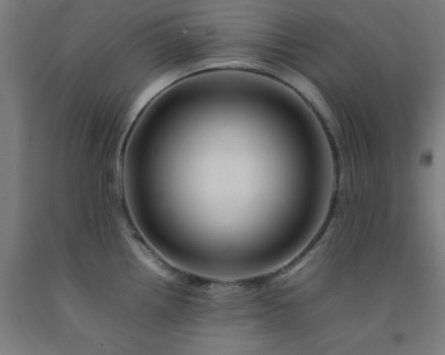 X0000092231242200709281058
