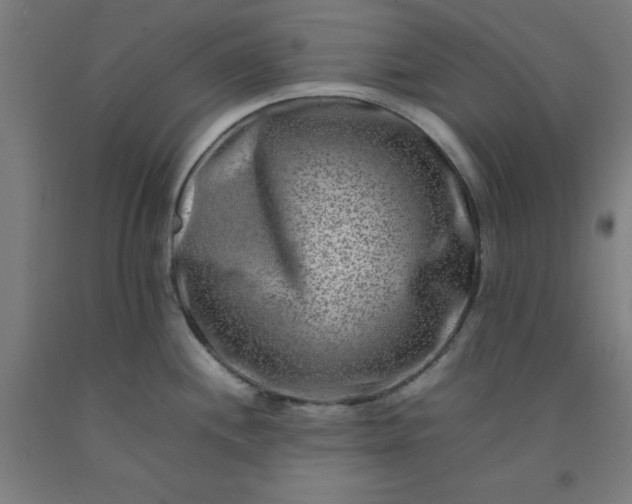 X0000092231244200709281058