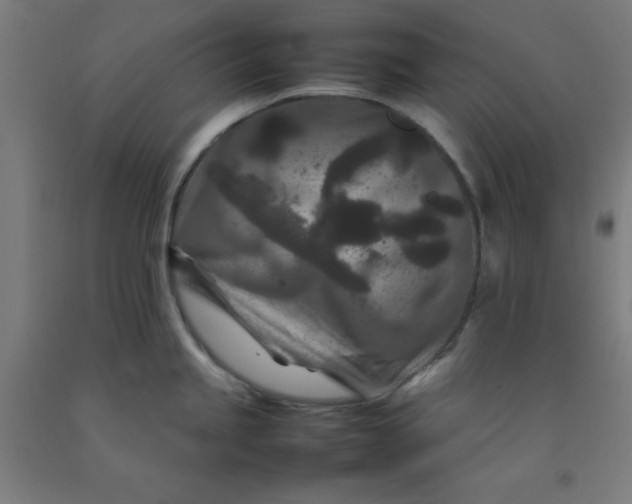 X0000092231245200709281058