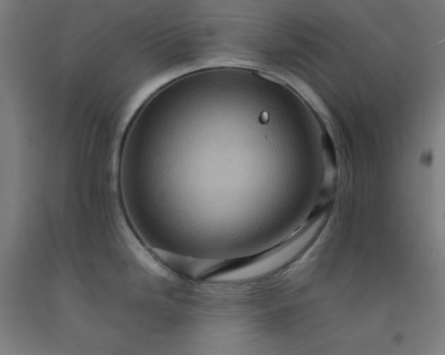 X0000092231246200709281058