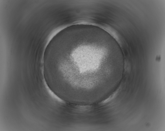 X0000092231247200709281058