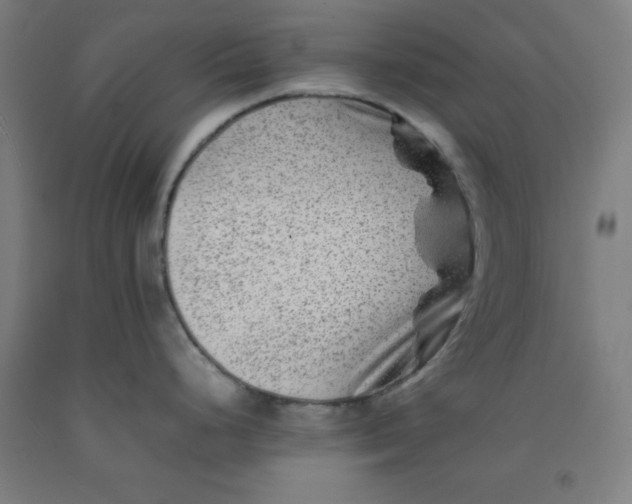 X0000092231248200709281058