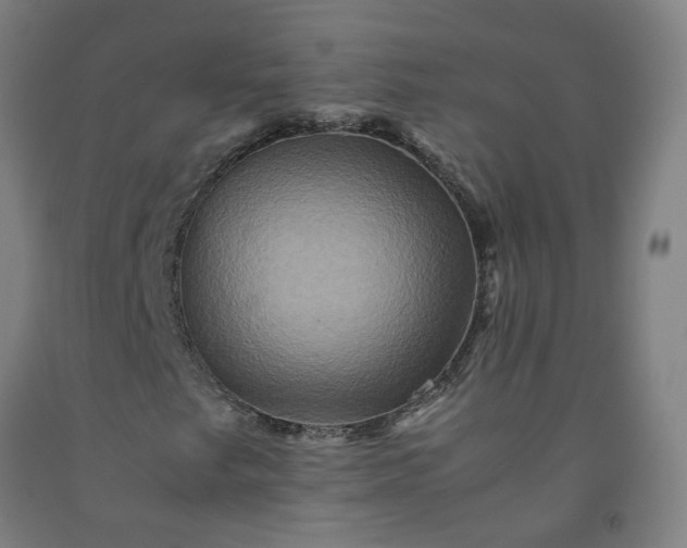 X0000092231249200709281057