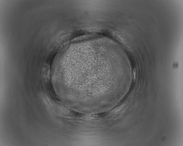 X0000092231251200709281057