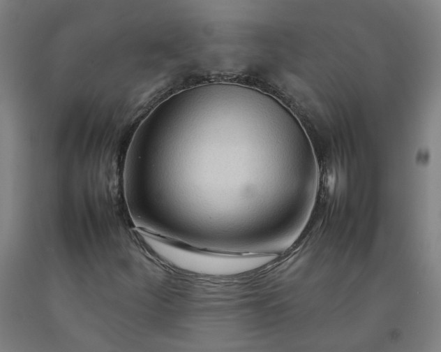 X0000092231252200709281057