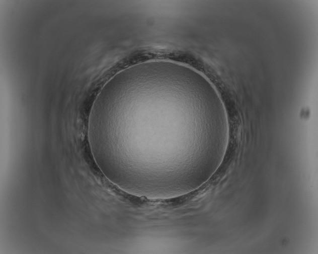 X0000092231253200709281057