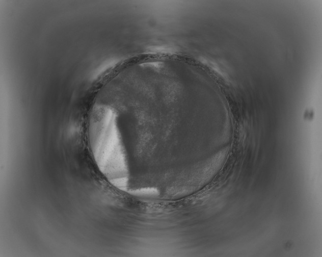 X0000092231254200709281057