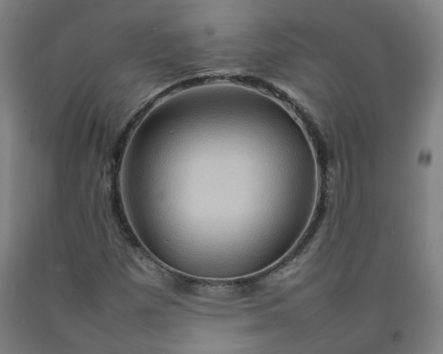 X0000092231257200709281057