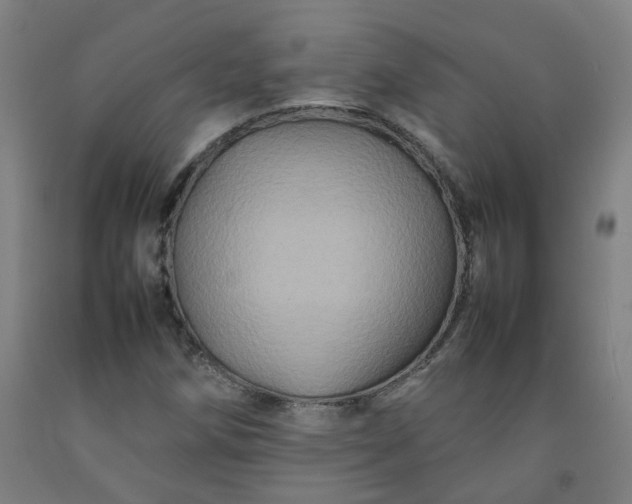 X0000092231258200709281057