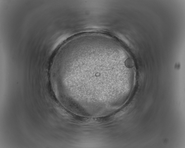 X0000092231259200709281057