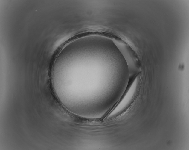 X0000092231261200709281057