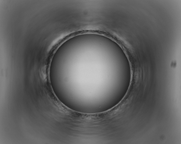 X0000092231262200709281057