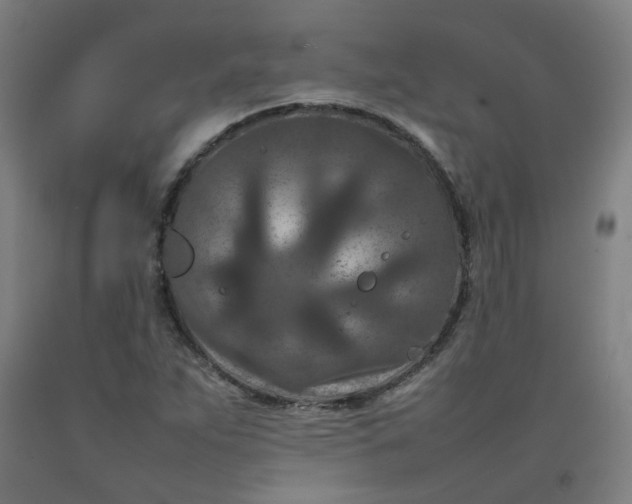 X0000092231263200709281057