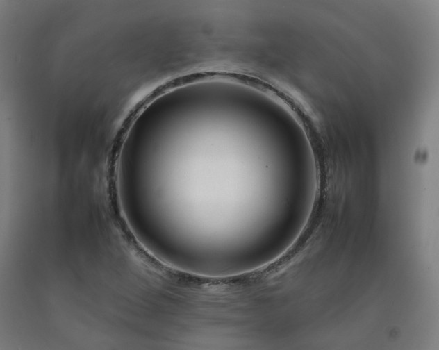 X0000092231264200709281057