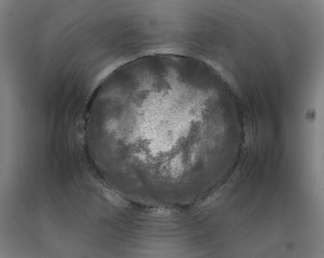 X0000092231266200709281057