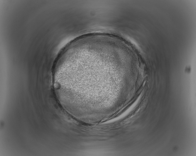 X0000092231267200709281057
