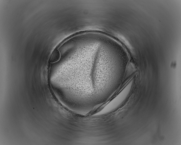 X0000092231268200709281057