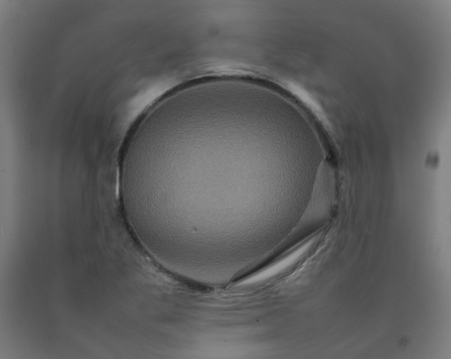 X0000092231269200709281057