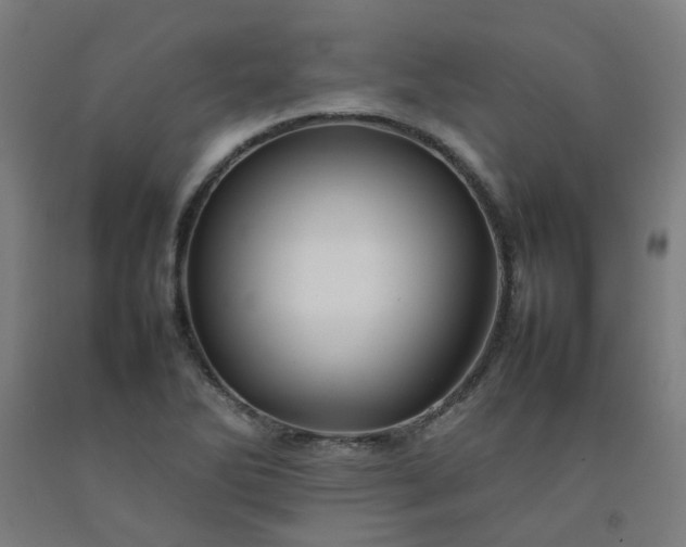 X0000092231270200709281057