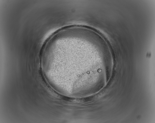 X0000092231271200709281057