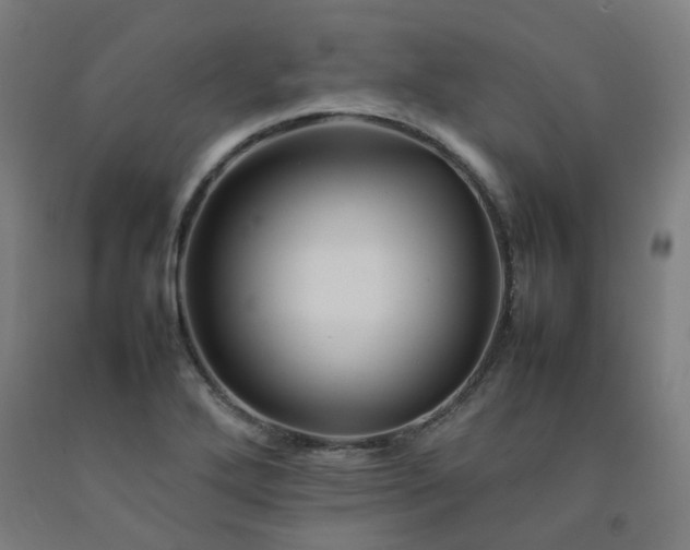 X0000092231272200709281057