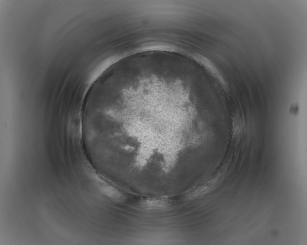X0000092231274200709281056