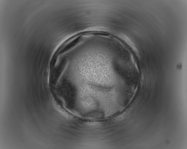 X0000092231276200709281056