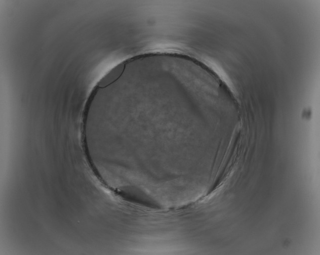 X0000092231277200709281056