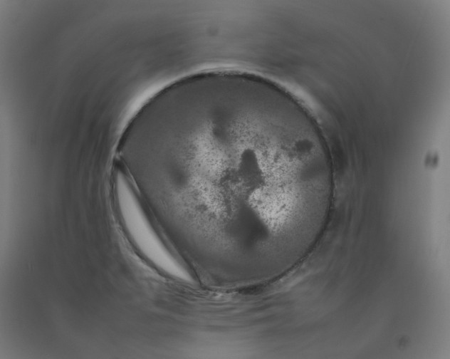 X0000092231279200709281056