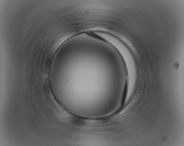 X0000092231281200709281056