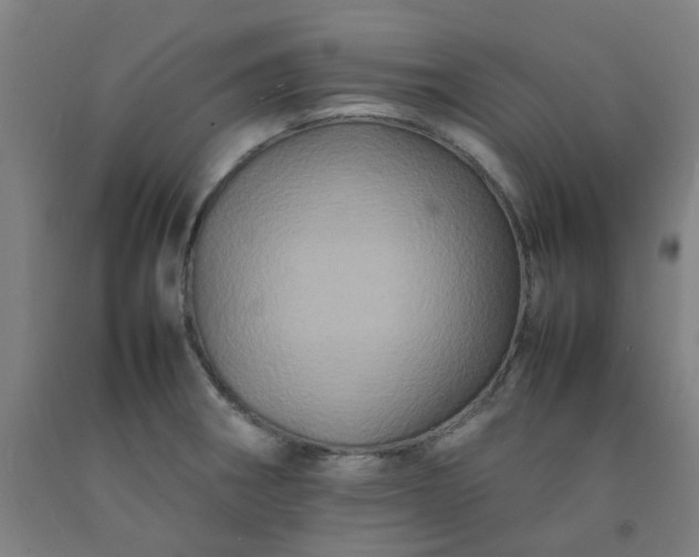 X0000092231282200709281056